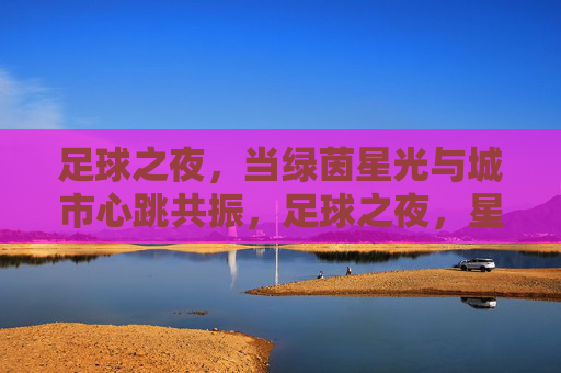 足球之夜，当绿茵星光与城市心跳共振，足球之夜，星光城心共振
