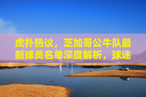 虎扑热议,芝加哥公牛队最新球员名单深度解析,球迷眼中的青春风暴与老将坚守,虎扑热议,公牛最新球员名单青春风暴与老将坚守
