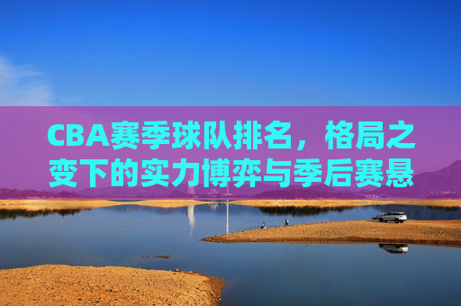 CBA赛季球队排名,格局之变下的实力博弈与季后赛悬念,CBA赛季排名,格局之变下的实力博弈与季后赛悬念