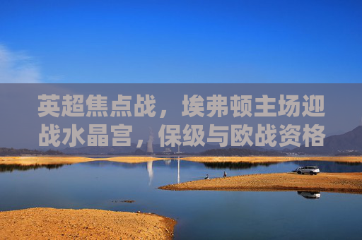 英超焦点战,埃弗顿主场迎战水晶宫,保级与欧战资格的双重博弈,英超焦点战,埃弗顿主场迎战水晶宫,保级与欧战资格双重博弈