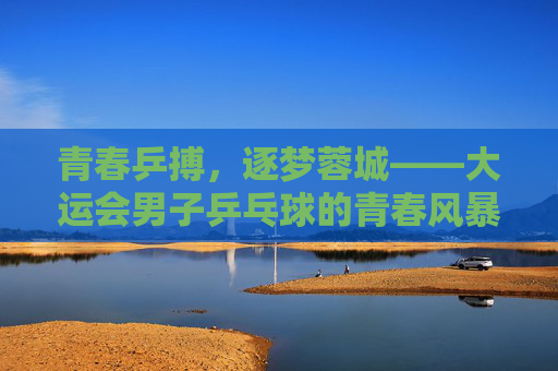 青春乒搏,逐梦蓉城——大运会男子乒乓球的青春风暴与梦想传承,青春乒搏,逐梦蓉城——大运会男子乒乓球的青春风暴与梦想传承