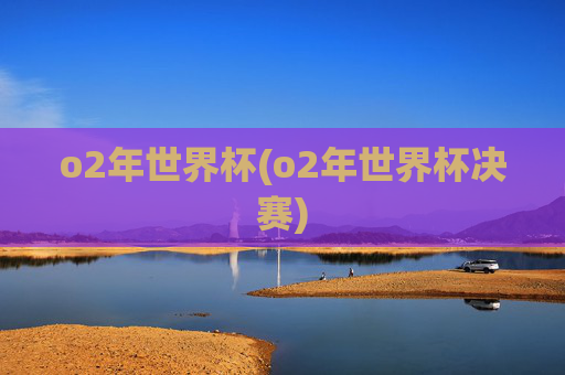 o2年世界杯(o2年世界杯决赛)