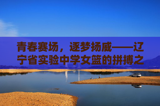 青春赛场，逐梦扬威——辽宁省实验中学女篮的拼搏之路，辽宁省实验中学女篮，青春赛场逐梦拼搏之路