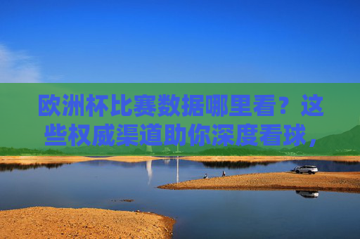 欧洲杯比赛数据哪里看？这些权威渠道助你深度看球，欧洲杯数据权威渠道，助你深度看球