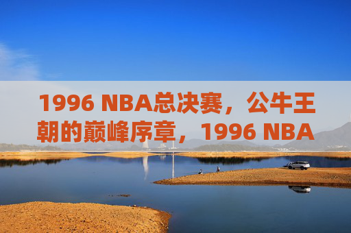 1996 NBA总决赛,公牛王朝的巅峰序章,1996 NBA总决赛,公牛王朝的巅峰序章