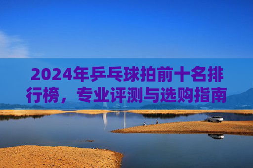 2024年乒乓球拍前十名排行榜,专业评测与选购指南,2024年乒乓球拍前十名排行榜,专业评测与选购指南