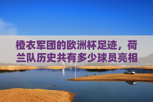橙衣军团的欧洲杯足迹,荷兰队历史共有多少球员亮相?