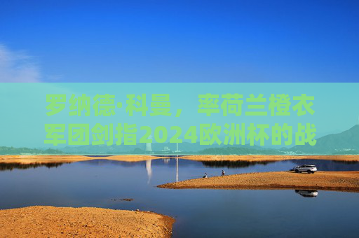罗纳德·科曼,率荷兰橙衣军团剑指2024欧洲杯的战术革新者,罗纳德·科曼,荷兰战术革新者剑指2024欧洲杯