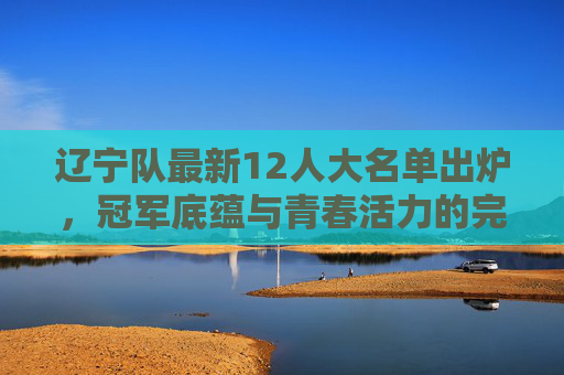 辽宁队最新12人大名单出炉,冠军底蕴与青春活力的完美融合,辽宁队最新12人大名单出炉,冠军底蕴与青春活力完美融合