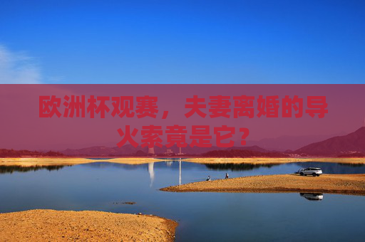 欧洲杯观赛,夫妻离婚的导火索竟是它?