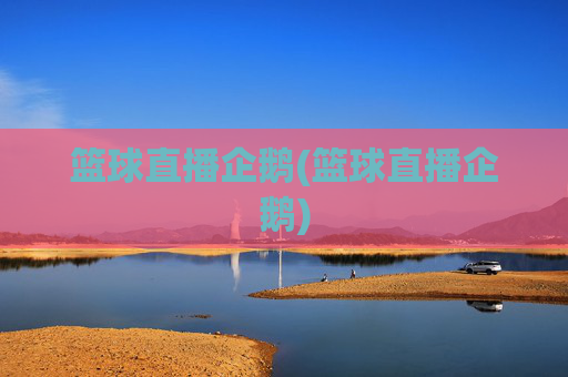 篮球直播企鹅(篮球直播企鹅)