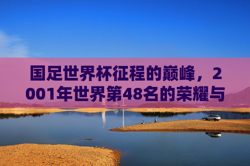 国足世界杯征程的巅峰,2001年世界第48名的荣耀与回响,国足巅峰时刻,2001年世界第48名的荣耀回响