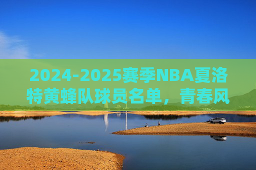 2024-2025赛季NBA夏洛特黄蜂队球员名单，青春风暴再起，核心阵容深度解析，2024-2025赛季NBA夏洛特黄蜂队，青春风暴下的核心阵容深度解析