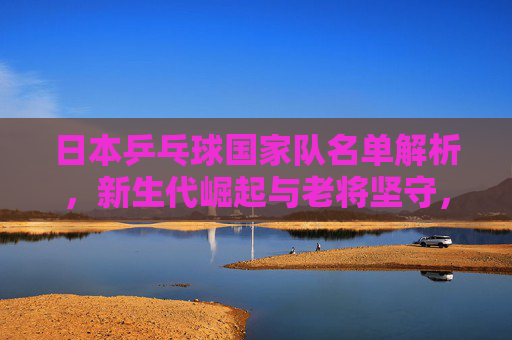日本乒乓球国家队名单解析,新生代崛起与老将坚守,日本乒乓球国家队名单解析,新生代崛起与老将坚守