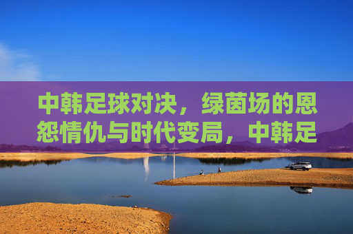 中韩足球对决,绿茵场的恩怨情仇与时代变局,中韩足球对决,绿茵恩怨与时代变局