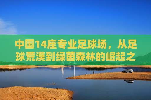 中国14座专业足球场，从足球荒漠到绿茵森林的崛起之路，中国14座专业足球场，从足球荒漠到绿茵森林的崛起之路