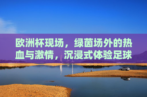 欧洲杯现场，绿茵场外的热血与激情，沉浸式体验足球的魅力，欧洲杯现场，绿茵场外热血沉浸，足球魅力直击