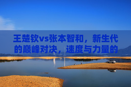 王楚钦vs张本智和,新生代的巅峰对决,速度与力量的终极碰撞