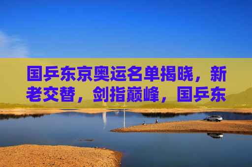 国乒东京奥运名单揭晓，新老交替，剑指巅峰，国乒东京奥运名单，新老交替剑指巅峰