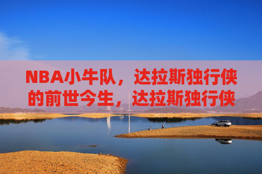 NBA小牛队,达拉斯独行侠的前世今生,达拉斯独行侠(前小牛队)的前世今生
