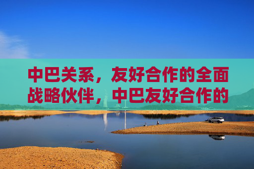 中巴关系,友好合作的全面战略伙伴,中巴友好合作的全面战略伙伴关系