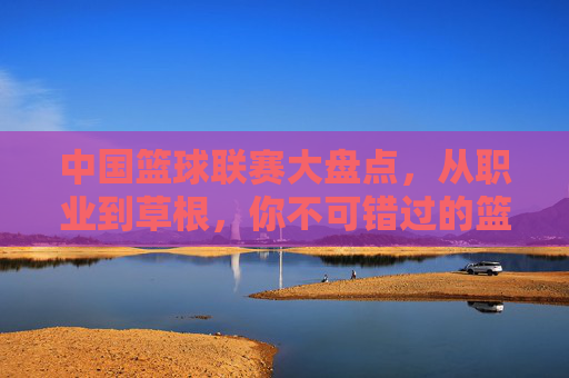 中国篮球联赛大盘点,从职业到草根,你不可错过的篮球盛宴,中国篮球联赛全景盘点,从职业到草根的篮球盛宴