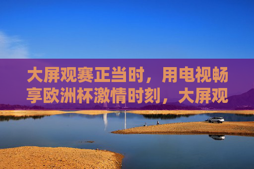 大屏观赛正当时,用电视畅享欧洲杯激情时刻,大屏观赛正当时,畅享欧洲杯激情