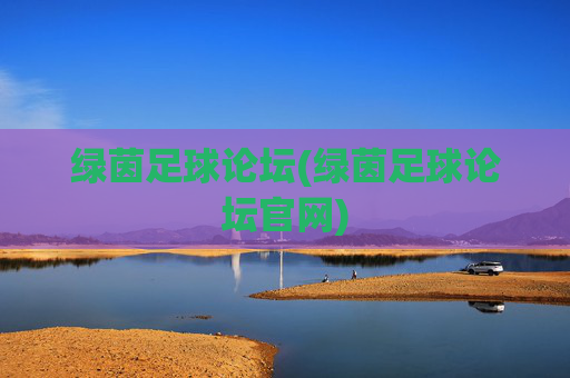 绿茵足球论坛(绿茵足球论坛官网)