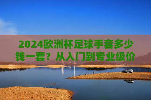 2024欧洲杯足球手套多少钱一套?从入门到专业级价格全解析+选购指南,2024欧洲杯足球手套价格全解析,从入门到专业级选购指南