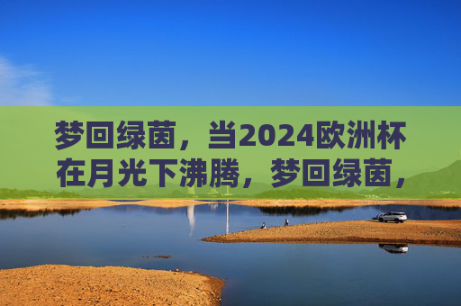 梦回绿茵,当2024欧洲杯在月光下沸腾,梦回绿茵,2024欧洲杯月下沸腾
