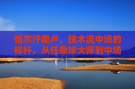 恰尔汗奥卢，技术流中场的标杆，从任意球大师到中场节拍器的进化史，恰尔汗奥卢，技术流中场标杆的进化——从任意球大师到中场节拍器