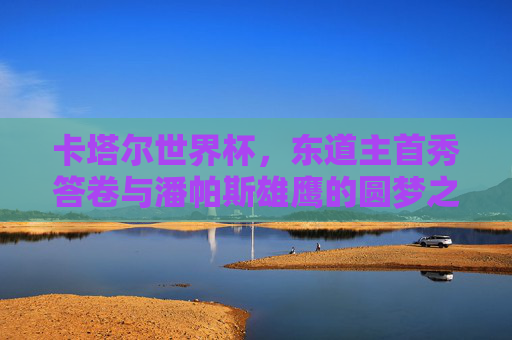 卡塔尔世界杯，东道主首秀答卷与潘帕斯雄鹰的圆梦之旅，卡塔尔世界杯，东道主首秀答卷与阿根廷圆梦之旅