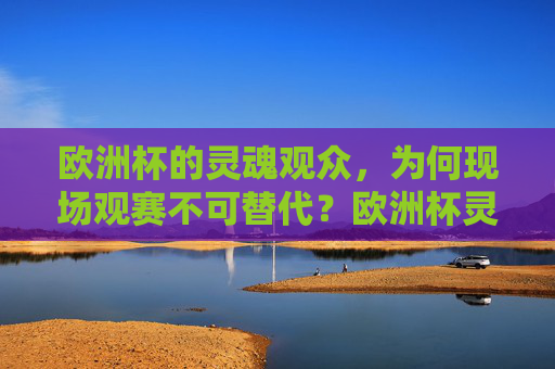 欧洲杯的灵魂观众,为何现场观赛不可替代?欧洲杯灵魂观众,现场观赛为何不可替代?