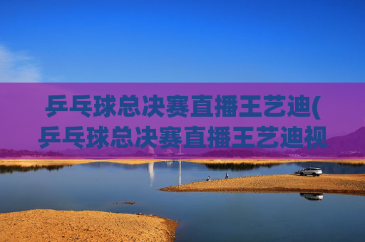乒乓球总决赛直播王艺迪(乒乓球总决赛直播王艺迪视频)