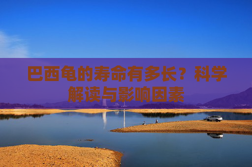 巴西龟的寿命有多长?科学解读与影响因素