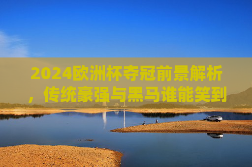 2024欧洲杯夺冠前景解析，传统豪强与黑马谁能笑到最后？2024欧洲杯，传统豪强与黑马的夺冠之争