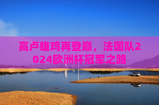 高卢雄鸡再登巅,法国队2024欧洲杯冠军之路