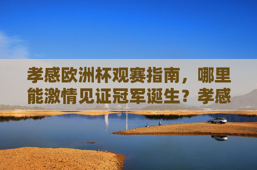 孝感欧洲杯观赛指南,哪里能激情见证冠军诞生?孝感欧洲杯观赛指南,哪里能激情见证冠军诞生?