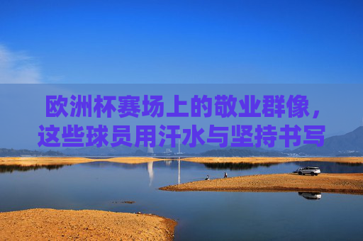 欧洲杯赛场上的敬业群像，这些球员用汗水与坚持书写职业传奇，欧洲杯敬业群像，汗水铸就职业传奇