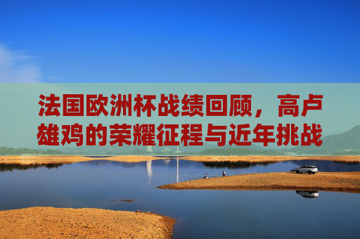 法国欧洲杯战绩回顾，高卢雄鸡的荣耀征程与近年挑战，高卢雄鸡欧洲杯征程，荣耀回顾与近年挑战
