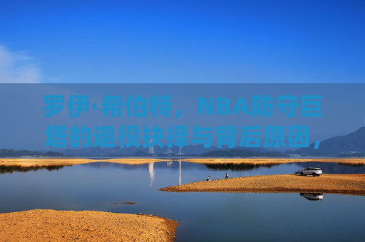 罗伊·希伯特,NBA防守巨塔的退役抉择与背后原因,罗伊·希伯特,NBA防守巨塔的退役抉择与背后原因
