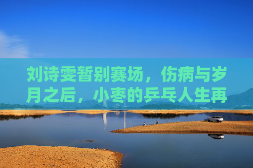 刘诗雯暂别赛场，伤病与岁月之后，小枣的乒乓人生再启程，刘诗雯，伤病岁月后，乒乓人生再启程