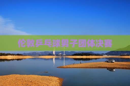 伦敦乒乓球男子团体决赛