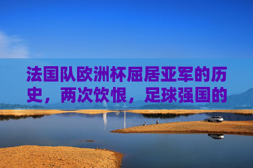法国队欧洲杯屈居亚军的历史，两次饮恨，足球强国的坚韧足迹，法国队欧洲杯两度饮恨，足球强国的坚韧足迹