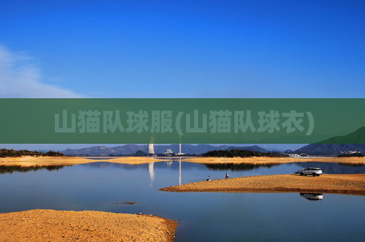 山猫队球服(山猫队球衣)