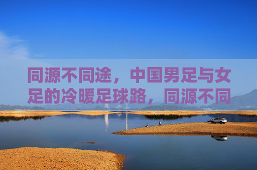 同源不同途,中国男足与女足的冷暖足球路,同源不同途,中国男足与女足的冷暖足球路