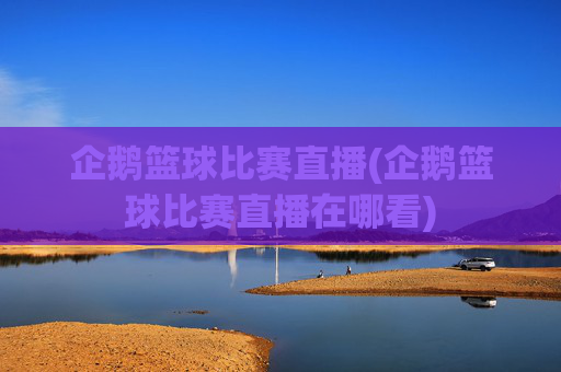 企鹅篮球比赛直播(企鹅篮球比赛直播在哪看)