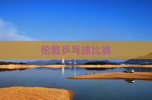 伦敦乒乓球比赛