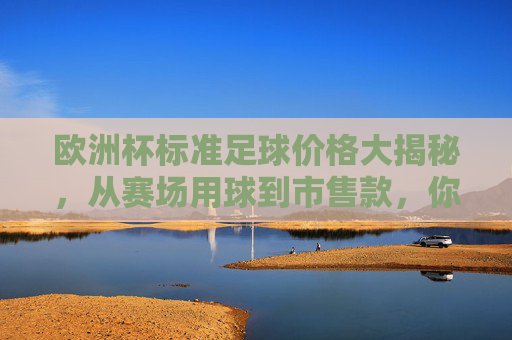 欧洲杯标准足球价格大揭秘,从赛场用球到市售款,你了解多少?欧洲杯足球价格大揭秘,从赛场用球到市售款