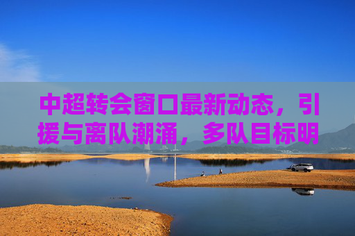 中超转会窗口最新动态,引援与离队潮涌,多队目标明确